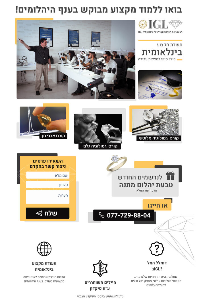 קורסים מקצועיים
